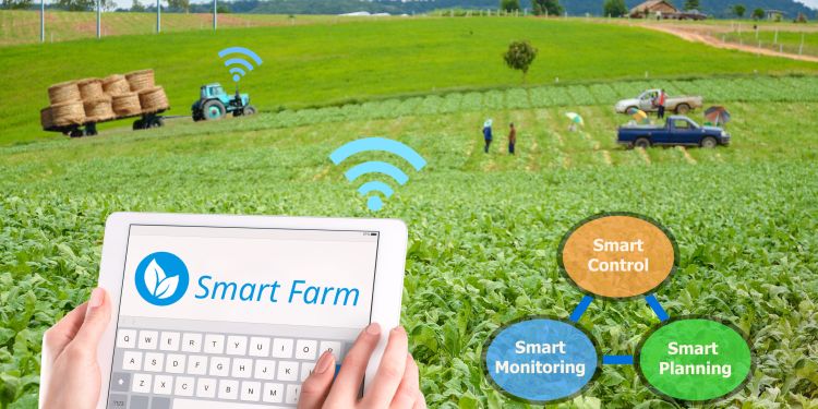 iot-farming